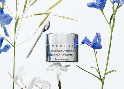 These Botanicals Work Smarter and Harder