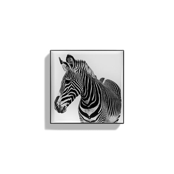 Zebra hoverimage