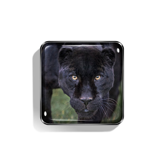 Amazonian Black Jaguars – Chantecaille