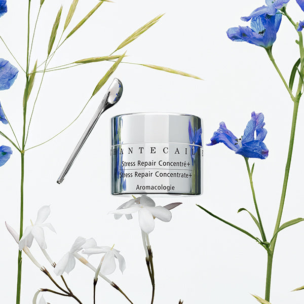 Stress Repair Concentrate+ Eye Cream | Chantecaille